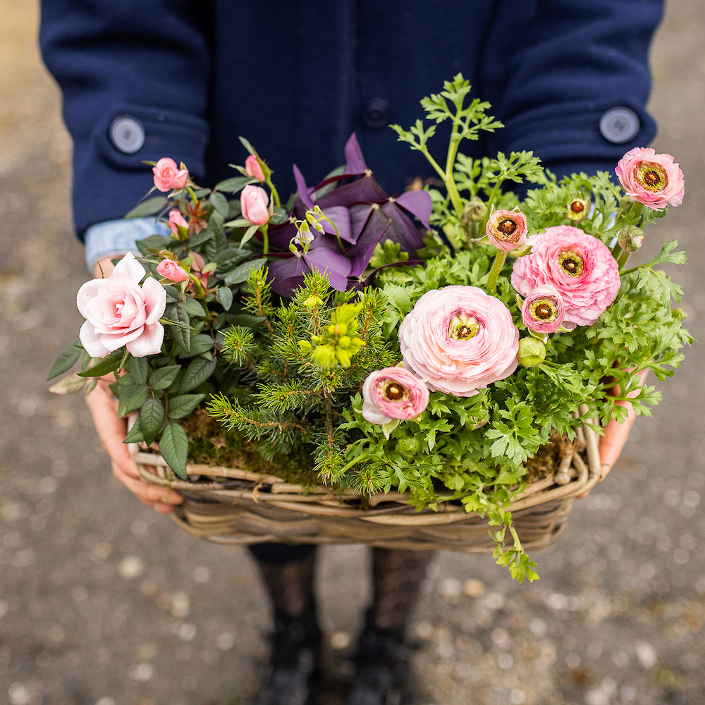 Huguette – Image 6